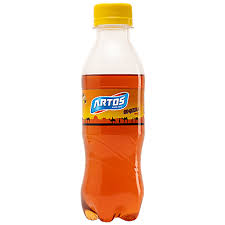 ARTOS GINJEERA MASALA SODA 200ML